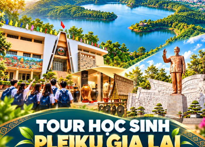 ảnh đại diện combo tour 31